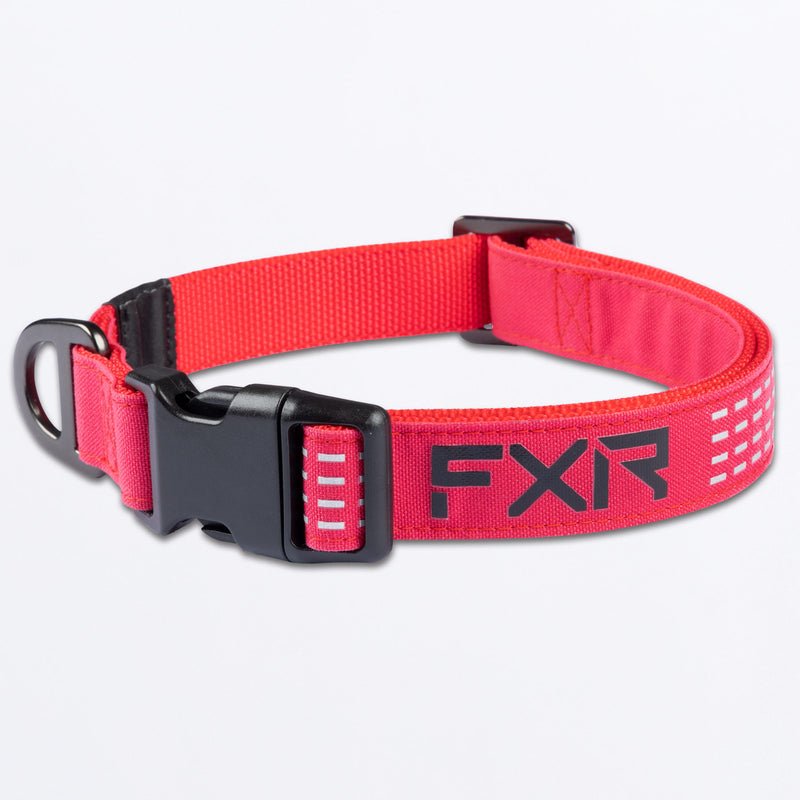 Dog_Collar_RazzBlack_SKU_243600-_2810_Front